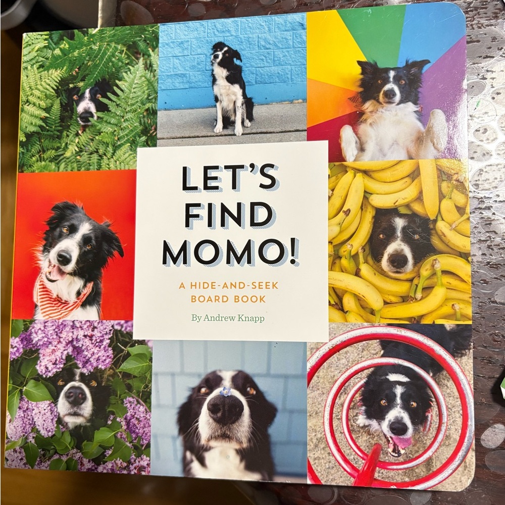 Hide & Seek Board Book Lets find Momo dog book